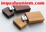 Dịch vụ in USB gỗ độc đáo